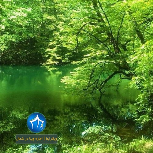 دریاچه فراخین نوشهر دریاچه فراخین کجاست دریاچه فراخین کجور تالاب فراخین (۴)