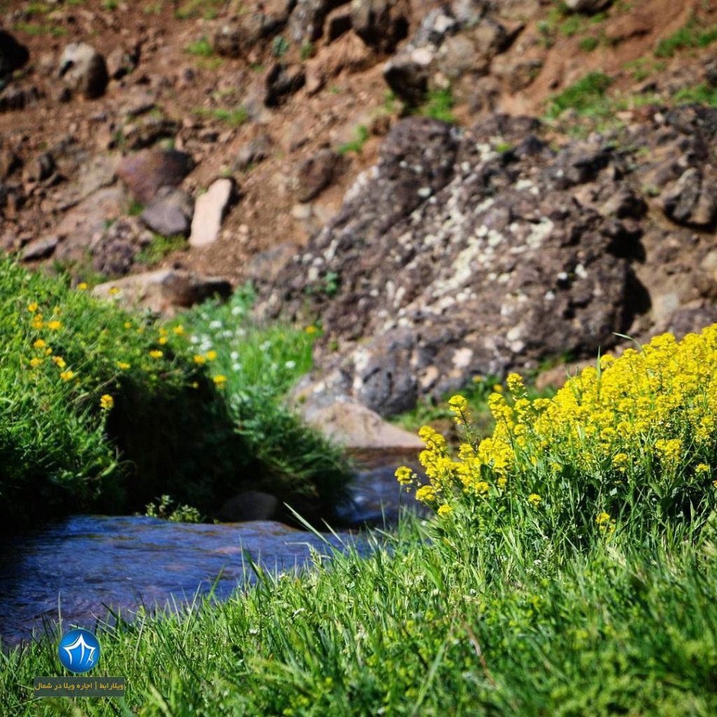 سایت ویلا رابط-اجاره ویلا-تور یک روزه گردشگری چشمه آب معدنی لوزان املش (۱)