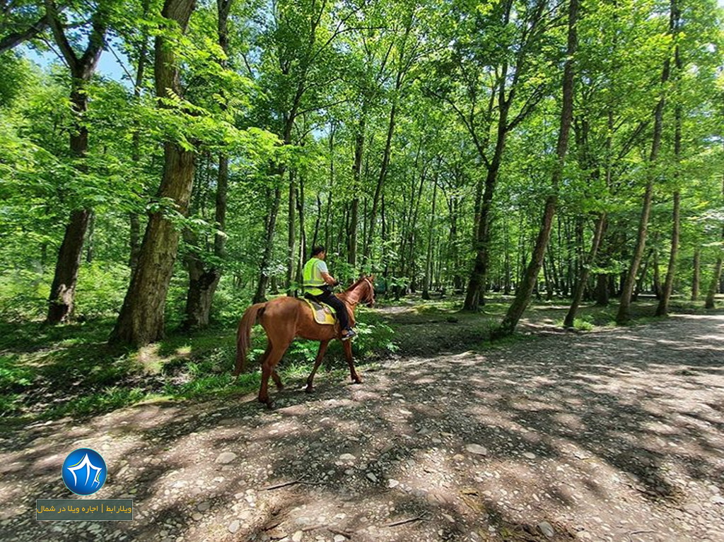 پارک جنگلی نور اجاره ویلا در نور اقامت در پارک جنگلی نور استان مازندران اسب سواری در پارک جنگلی نور