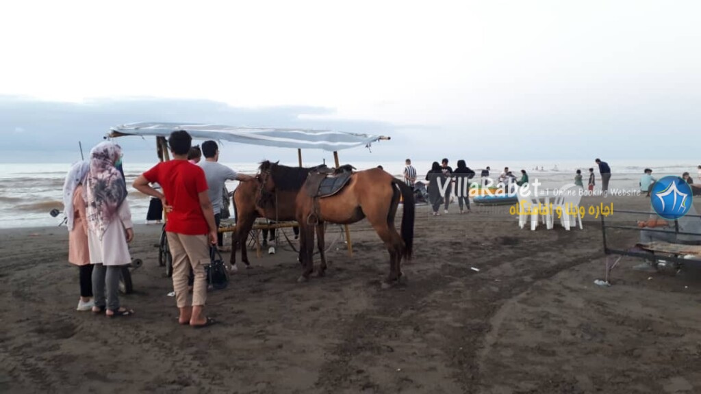 اسب سواری در ساحل نوشهر